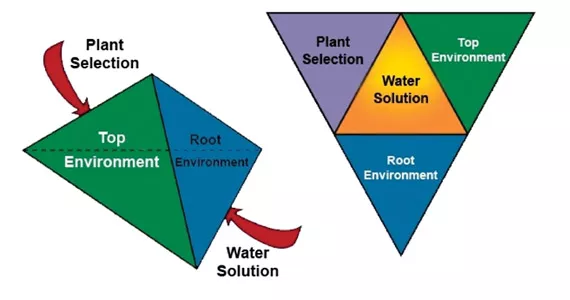 Thoughts on watering plants