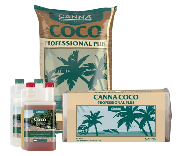 CANNA COCO