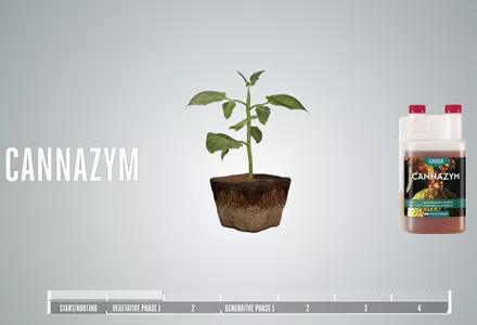 CANNAZYM