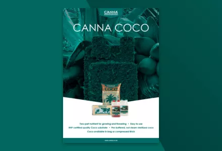 teaser-brochure-canna-coco-za.