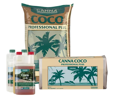 CANNA COCO